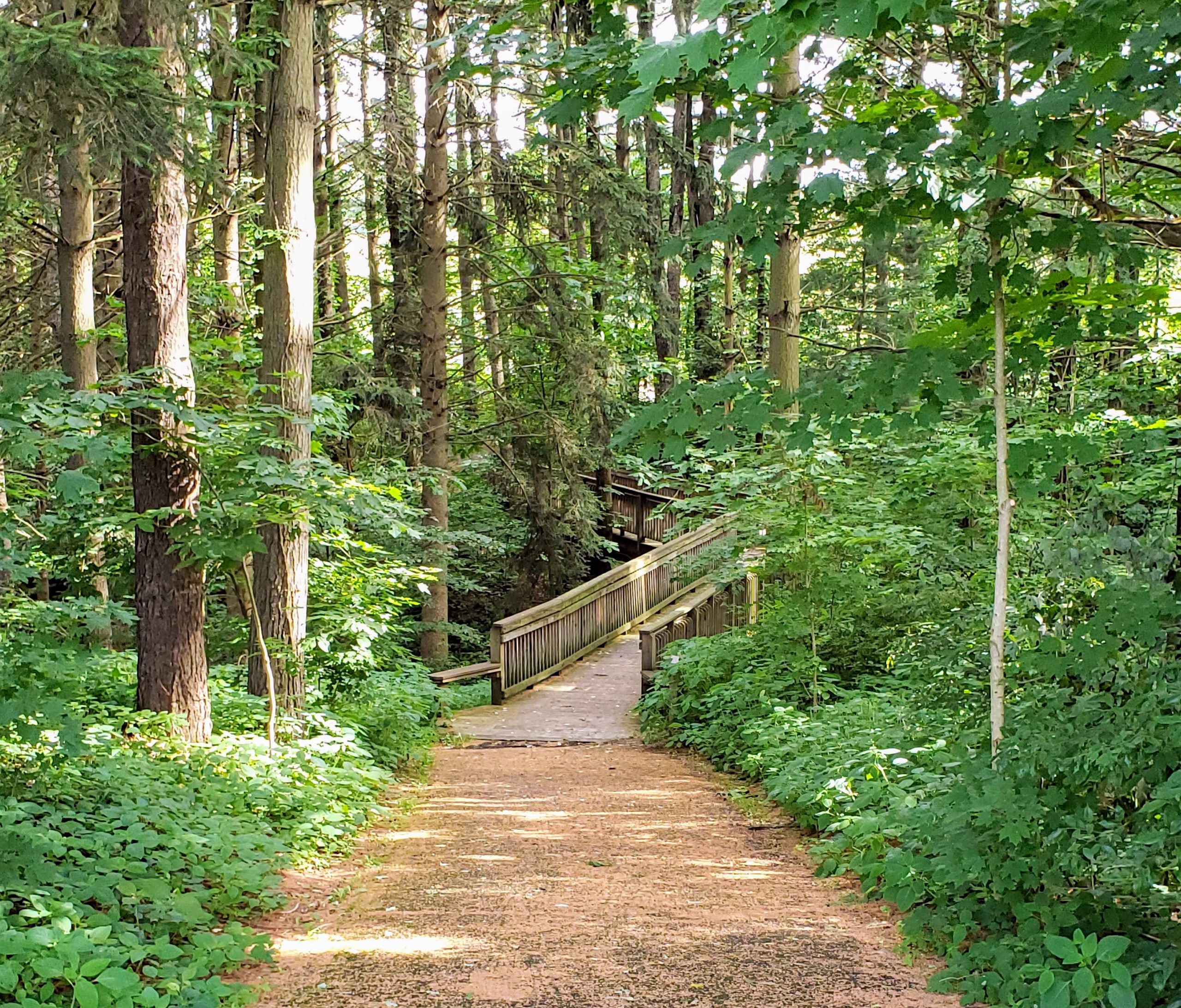 About Us - Friends of Medina County Parks